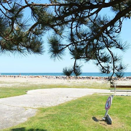 Appartement Saint-Cyprien, 2 pièces, 6 personnes - FR-1-225D-168 Esterno foto